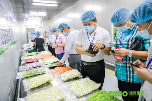 德保集團榮膺“校園餐優秀服務商”稱號，創新外賣遞送服務引領行業標準